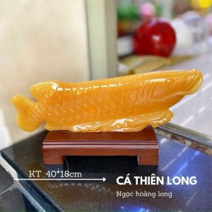 Cá Thiên Long