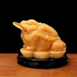 Cóc ngọc hoàng long