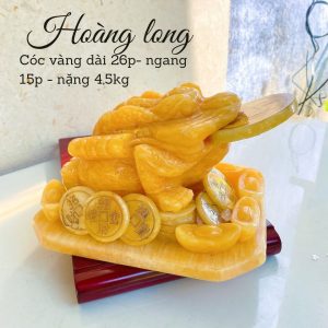 Cóc ngọc hoàng long 20cm