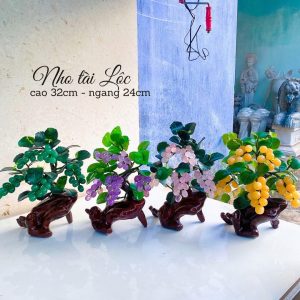 Cây nhỏ tài lộc